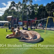 Playground-with-acknowledgment